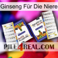 Ginseng Für Die Niere 12